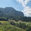 민생 쿠폰 잘쓰기 ㅎㅎ 이미지