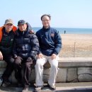 일성보문콘도미니엄 이미지