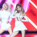 로제조이 이미지