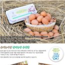 반디농장 이미지