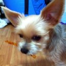 피드미(Feed Me) 이미지