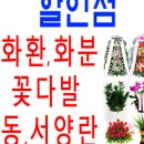 강원도 횡성군 횡성읍 태풍로 이미지
