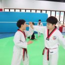 경희대무궁화태권도장 이미지