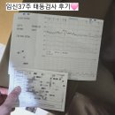 영양산부인과 | [임신37주] 산부인과 태동검사비용 / 영양플러스사업2차통과 / 임신후기 / 임신후기검사 / 막달증상