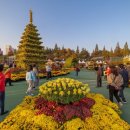 익산 천만송이 국화 축제 이미지