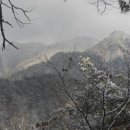 모둘자리 이미지