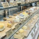 경대북문 앞 | 카페] 대구카공카페 추천, 경대북문에서 조용하게 즐기는 슈페너맛집 디디씨돌담커피 경대북문점 솔직후기