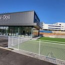 플레이독 이미지