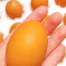 이삭농장3 이미지