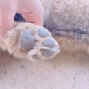 섬마을목장 이미지