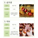 공주밤나무 이미지