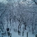 이른오후 이미지