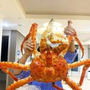 (주)레드모바일 | 러시아 대게, 레드 킹크랩 한정 물량 시세 안내드립니다! 이번주 수령 예약 가능