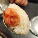 공룡고기시즌2시화점 이미지