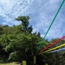 보석사로 | [가볼 만한 곳] 충청남도 금산 보석사 가을 나들이(꽃무릇 상사화, 천년 은행나무)