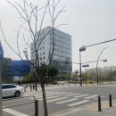 온니네일 이미지