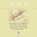 대정치과기공소 네이버블로그