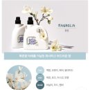 목련세탁 이미지