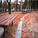 머내생태공원 이미지