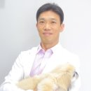 관저종합동물병원 이미지