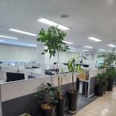 수지유타워공인중개사사무소 이미지