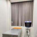 스노우의원 이미지