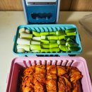 3공단3로3L-10 | 국산 다용도 혼시티 김치자르미 3L 밀폐용기 사용 후기