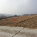 갑을부동산중개 이미지