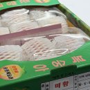 태우농장 | 복숭아맛집 피치컴퍼니 태우승복숭아 미황 내돈내산 후기