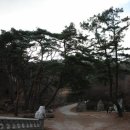 등명락가사 이미지