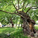 성주 성산관 이미지