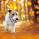 헤이든동물병원 이미지