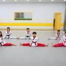 국가대표 드림플러스 태권도 이미지
