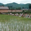 고향산하 네이버블로그