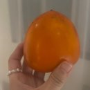 대봉목장 이미지