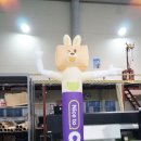 에어바이블주 이미지