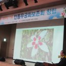 안동무궁화 이미지