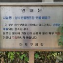 상수빗물펌프장 티스토리