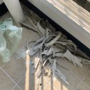 신기메이플아파트 이미지