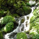 절터골1 이미지