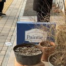 뺑띠에(Paintier)