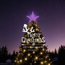 탄넨바움 이미지