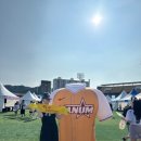 대원물세탁 | 25시즌 KBO 올스타 직관 기록