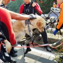 용문 119구조대 이미지