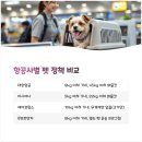 화원연합동물병원 | 반려동물 출국 조건 가장 쉬운 나라는 어디일까?