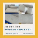 은평구경계 | 바이리네 패브릭 소파 피 혈흔 얼룩 지우는 방법｜서울 은평구 대조동 소파청소 후기