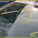 (주)현대동일공업사 이미지