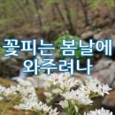 꽃피는봄날 이미지