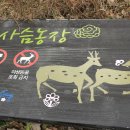 대가민박