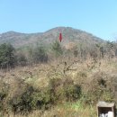 구산동 21-3 이미지